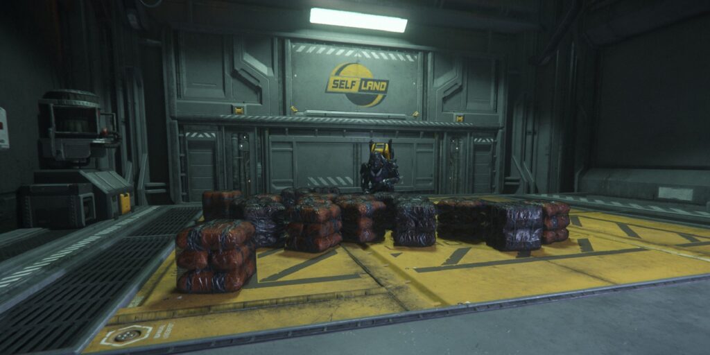 A Star Citizen player next to packs of Gasping Weevil Eggs