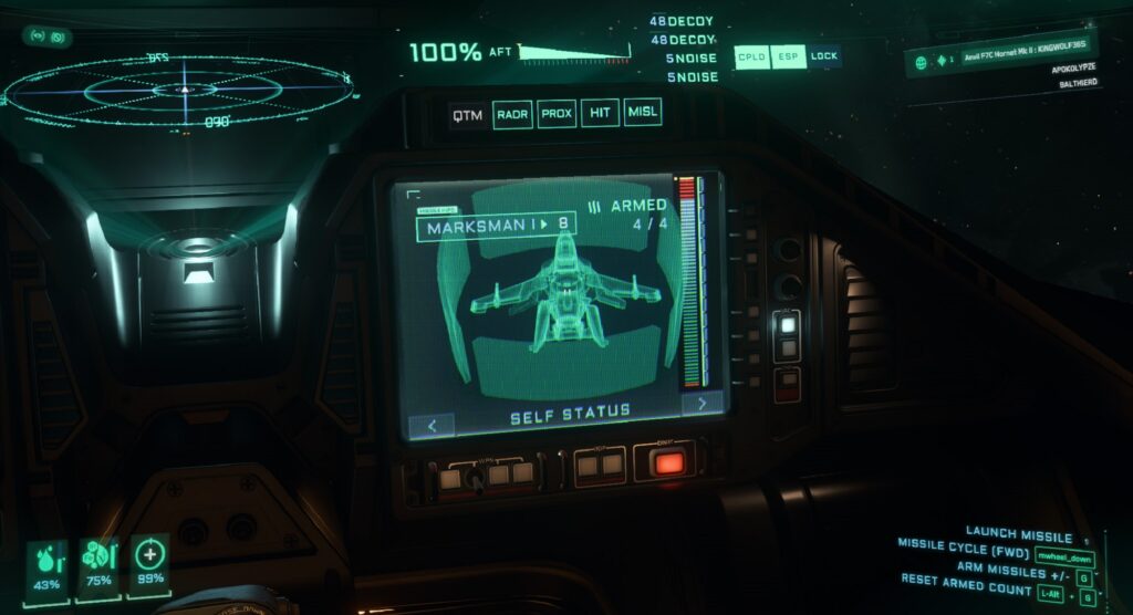 Star Citizen | Self Status MFD Screen