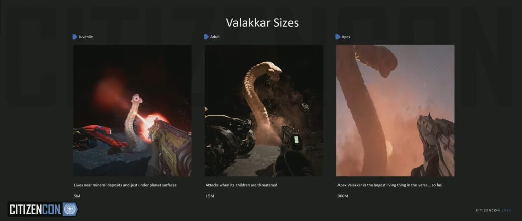 Valakkar types in Star Citizen - Presented at CitizenCon 2024