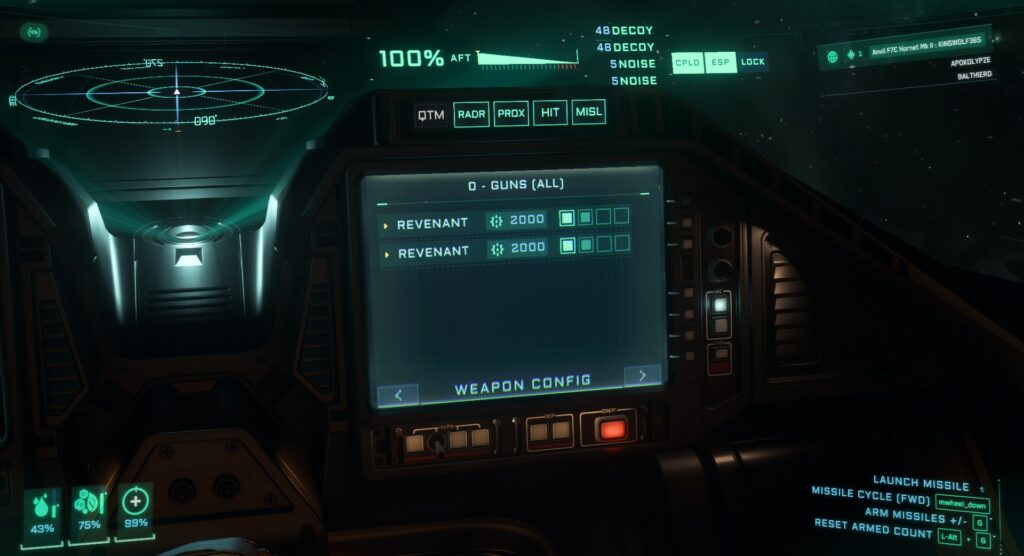 Star Citizen | Weapon Config MFD Screen